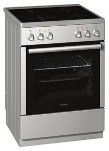 Gorenje E21T1-E64M/04 EC61102AX onderdelen en accessoires